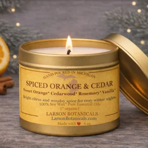 Non-Toxic SPICED ORANGE & CEDAR Candle 4 oz