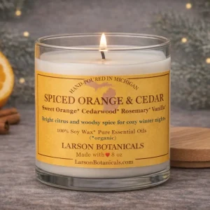 Non-Toxic SPICED ORANGE & CEDAR Candle 8 oz